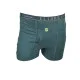 Green Trunks Green Trunks